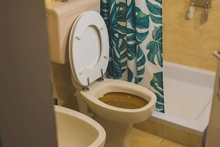 How to Deal with an Overflowing Toilet