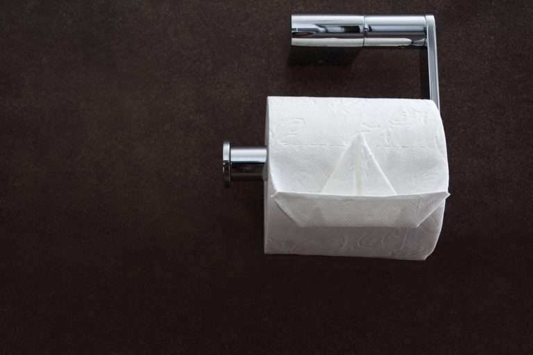 The Best Toilet Paper for Your Home’s Plumbing